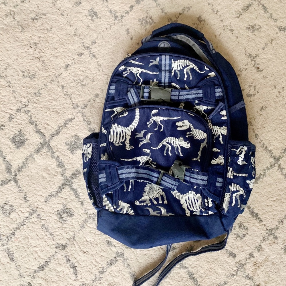 Pottery Barn Small Backpack